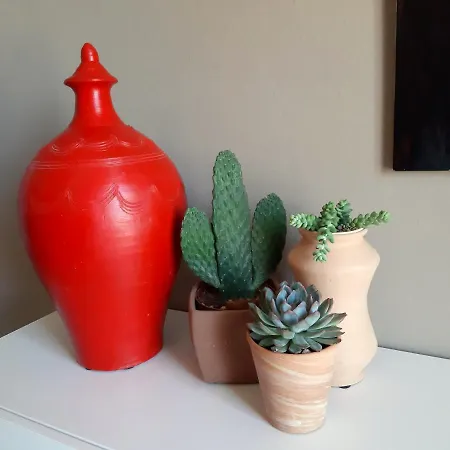 Casa Del Moro Appartement