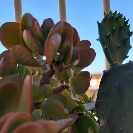 Appartement Casa Del Moro