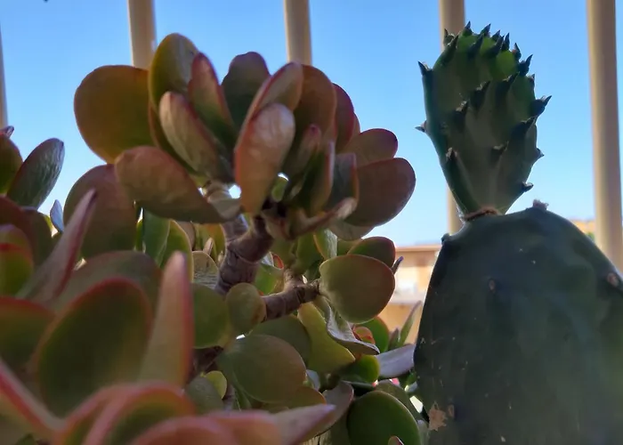 Apartment Casa Del Moro